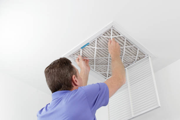 Best Local Air Duct Cleaning Services  in Maypearl, TX